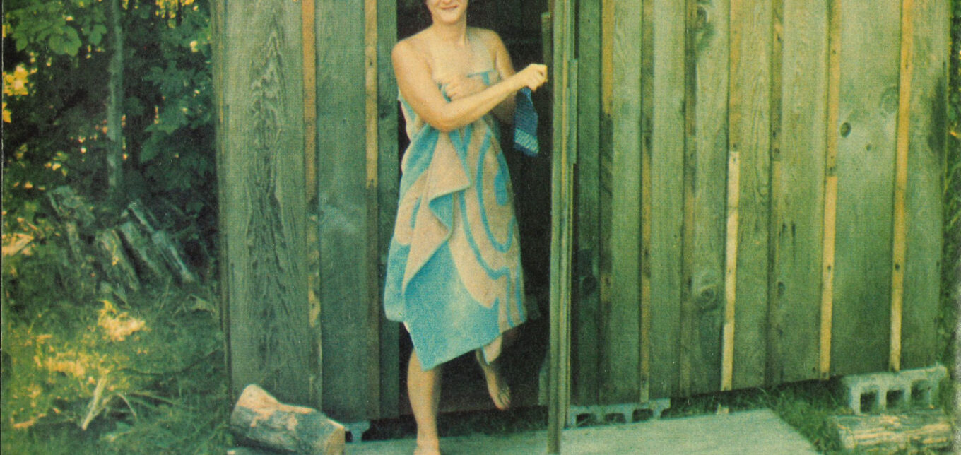 How to Build a Sauna Cheap – Mother Earth News - Vimarsana News
